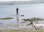 JT00934 Henry looking at Brad stand up paddling (sup) on River Taw estuary.jpg
